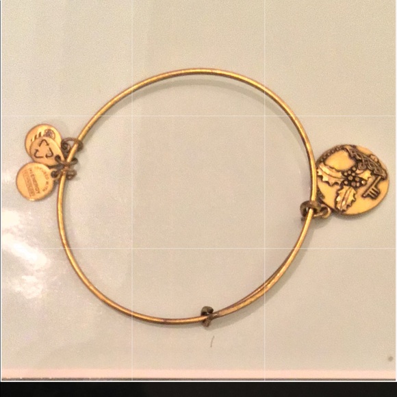 Alex and Ani Jewelry - Alex and ani charm bracelet holly Alex and Ani Jewelry - Alex and ani charm bracelet holly